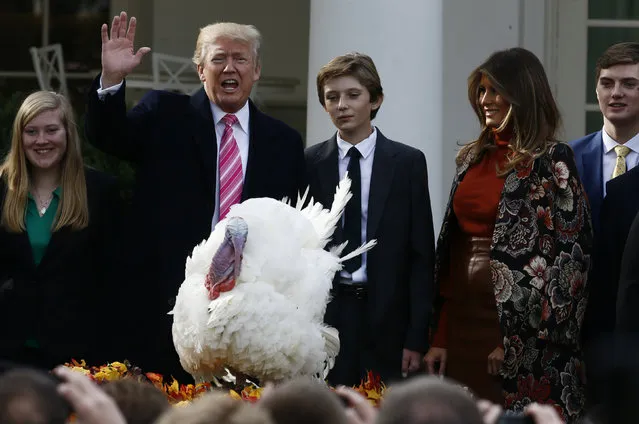 U.S. President Donald Trump participates in the 70th National Thanksgiving turkey pardoning ceremony as son Barron and first lady Melania Trump look on in the Rose Garden of the White House in Washington, U.S., November 21, 2017. (Photo by Jim Bourg/Reuters)