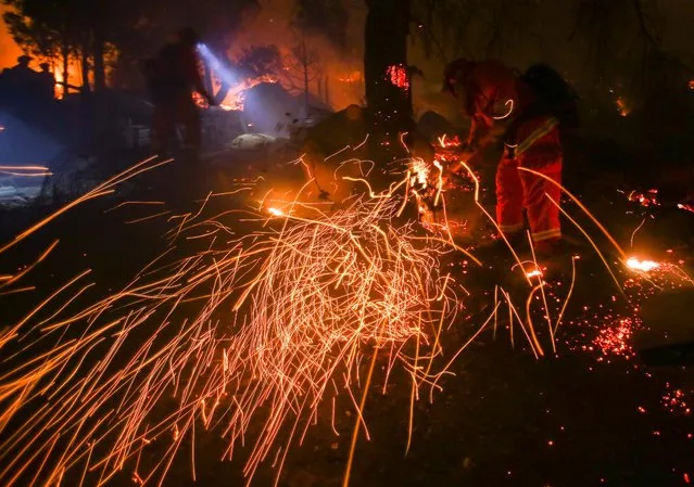 A firefighter battles a wildfire as it burns along a hillside near homes in Santa Paula, California, on December 5, 2017. Fast-moving, wind-fueled brush fire exploded to about 10,000 acres in Ventura County Monday night, forcing hundreds of people to flee their homes, officials said. (Photo by Ringo Chiu/AFP Photo)