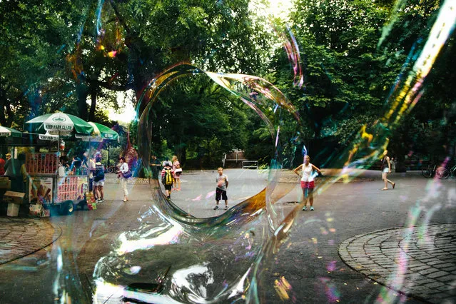 A boy can be seen through a giant soap bubble in Central Park in New York, New York, USA, 02 August 2017. (Photo by Alba Vigaray/EPA)