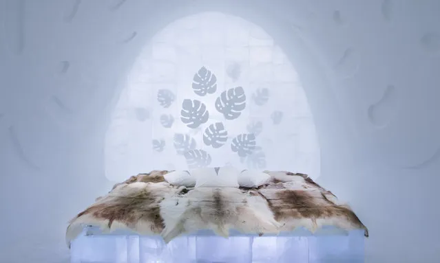 Impressions of leaves are silhouetted behind the bed in this room, Monstera, designed by Nina Kauppi and Johan Kauppi. (Photo by Asaf Kliger/IceHotel/The Guardian)