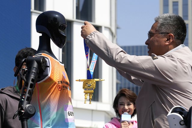 The Sky Project Ultra robot also known as Tien Kung Ultra is awarded the gold medal after winning the Humanoid Robot Half-Marathon held in Beijing on Saturday, April 19, 2025. (Photo by Ng Han Guan/AP Photo)