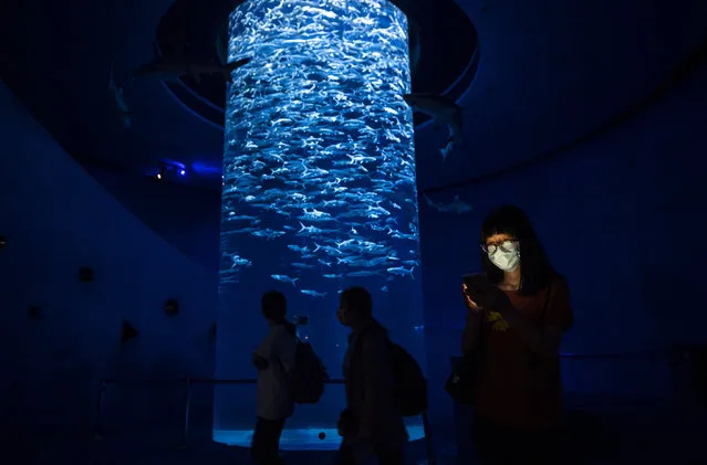 A visitor's face is lighted by the screen of her smartphone as she and other visitors walk through the sharks aquarium since at Ocean Park in Hong Kong on September 18, 2020. Due to the novel coronavirus pandemic, formally known as Covid-19, the amusement and animal theme Ocean Park has been forced to closed twice to to tackle possible spread of the virus. (Photo by Miguel Candela Poblacion/Anadolu Agency via Getty Images)