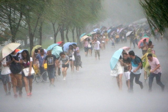 People hold umbrellas as Typhoon Soudelor approaches China's Zhejiang province, August  2015. (Photo by Reuters/Stringer)