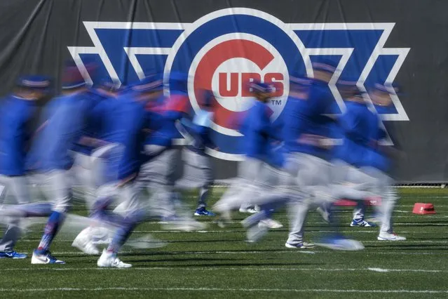 Some Chicago Cubs players run during a spring training baseball workout Wednesday, February 15, 2023, in Mesa. (Photo by Morry Gash/AP Photo)