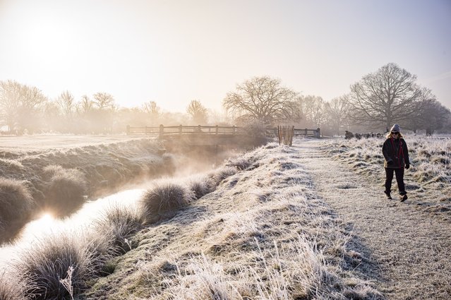 Walkers enjoy the misty frosty spring sunshine in Richmond Park south-west London on March 3, 2025. (Photo by Alex Lentati/London News Pictures)