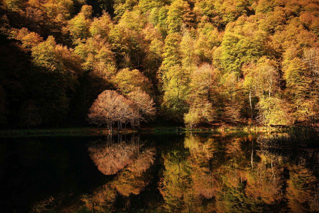 Fall foliage is reflected in Bethmale Lake in southwestern France on Friday, October 24, 2025. (Photo by Lionel Bonaventure/AFP Photo)