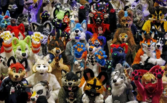 Attendees at the Midwest FurFest gather for a group photo in the Chicago suburb of Rosemont, Illinois, United States, December 5, 2015. Over 5000 people gathered to follow the Furry Fandom based on anthropomorphic animals, animated cartoon characters with human characteristics, or “Furries”. (Photo by Jim Young/Reuters)