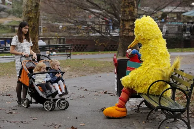 Pedestrians stop to listen to a street performer dressed as Big Bird in Central Park during an unseasonably warm day in New York December 24, 2015. (Photo by Lucas Jackson/Reuters)