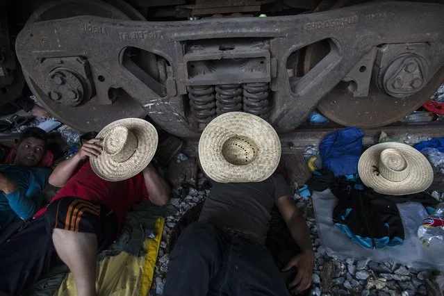 Migrants rest on the railroad rails as a thousands-strong caravan of Central American migrants slowly makes its way toward the U.S. border, between Pijijiapan and Arriaga, Mexico, Friday, October 26, 2018. On Friday, the caravan made its most ambitious single-day trek since the migrants crossed into the southern Mexican state of Chiapas a week ago, a 60-mile (100-kilometer) hike up the coast from Pijijiapan to the town of Arriaga.(Photo by Rodrigo Abd/AP Photo)
