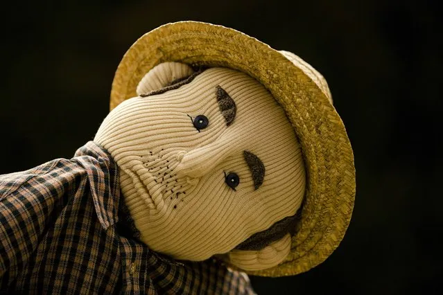 A scarecrow is pictured in the mountain village of Nagoro on Shikoku Island in southern Japan February 24, 2015. (Photo by Thomas Peter/Reuters)