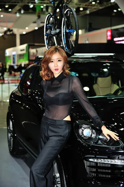 Promo Girl, Seoul Motor Show 2013