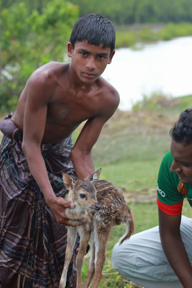 Brave Boy Risks Own Life to Save a Baby Deer from Drowning