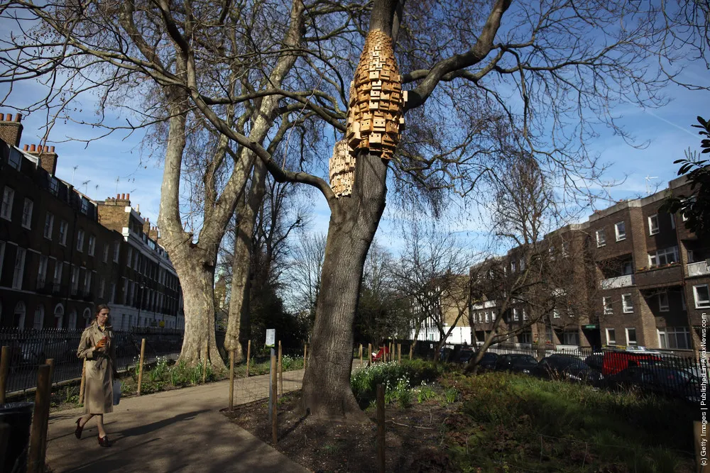 Artists Create Bird Boxes To Reflect Their Surrounding