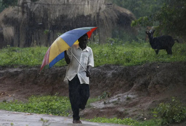 A villager shelters under an umbrella as late rains fall in Ngozi village near Malawi's capital Lilongwe, February 2, 2016. (Photo by Mike Hutchings/Reuters)