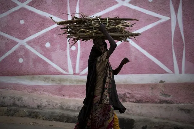 A woman carries a stack of wood in the old walled town of Harar in eastern Ethiopia, May 20, 2015. (Photo by Siegfried Modola/Reuters)