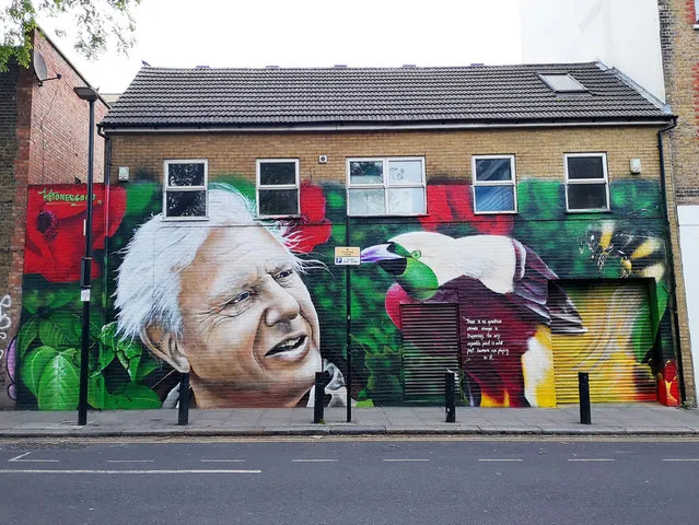 David Attenborough mural painted on a house in St Matthew's Row, east London, England by artist Jerome on May 7, 2019. It reads “There is no question climate change is happening. The only arguable point is what part humans are playing in it”. (Photo by Charlotte Elsom/Shutterstock)