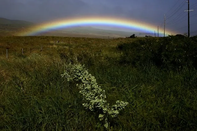 A rainbow is seen in Waimea, Hawaii, United States, November 6, 2015. (Photo by Lucy Nicholson/Reuters)