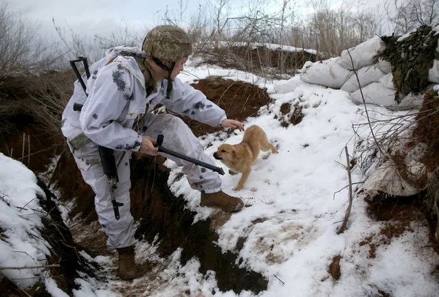 An Ukrainian Military Forces serviceman strokes a dog in a snow covered trench on the frontline with the Russia-backed separatists near Verkhnetoretskoye village, in the Donetsk region on January 31, 2022. (Photo by Anatolii Stepanov/AFP Photo)