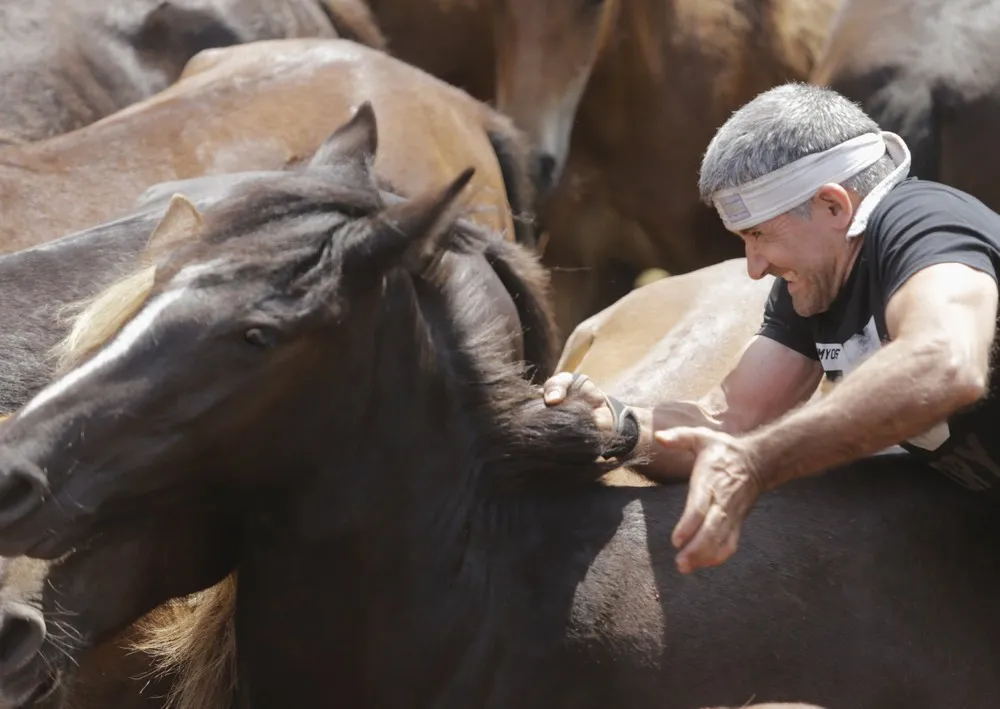 “Rapa das Bestas”