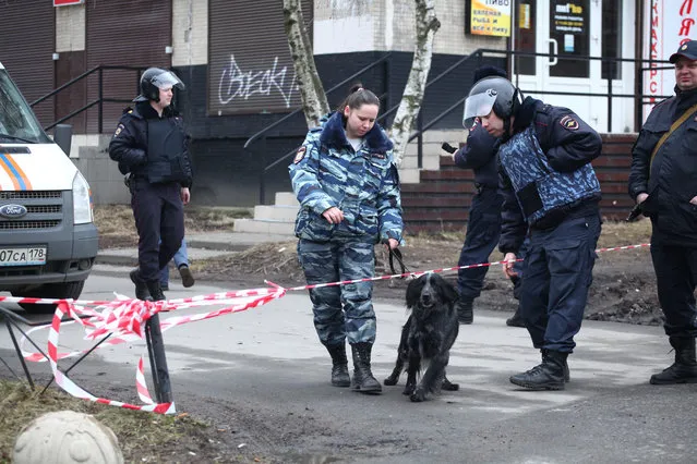 Russian police officer with a sniffing dog crosses a police line in St.Petersburg, Russia Thursday, April 6, 2017. Russian investigators on Thursday found elements of an explosive device in the apartment where they lived. The building's residents had been evacuated before explosives experts went in to check the site. (Photo by Yevgeny Stepanov/Interpress photo via AP Photo)