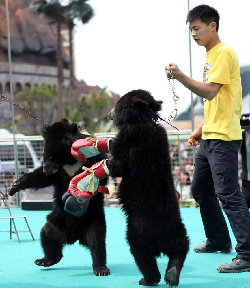 The Week in Pictures: Animals, April 27 – May 2, 2014
