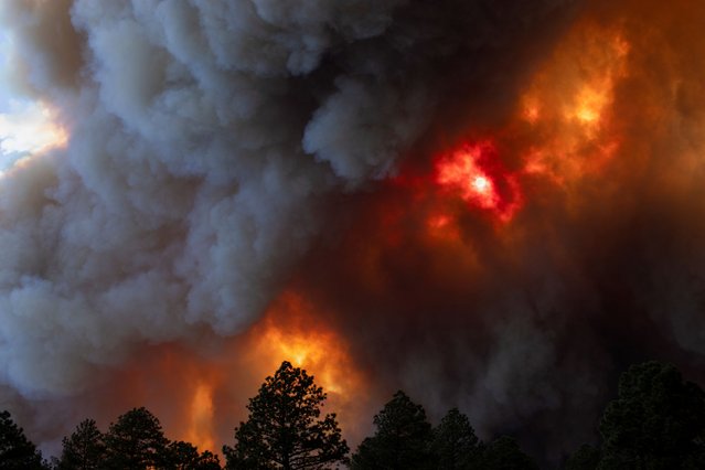 Smoke plumes from the South Fork Fire rise above the tree line as the fire progresses from the Mescalero Apache Indian Reservation to the Lincoln National Forest causing mandatory evacuations in Ruidoso, New Mexico, U.S. June 17, 2024. (Photo by Kaylee Greenlee Beal/Reuters)