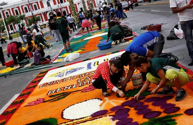 People prepare a sawdust and flower carpet during the feast of Corpus Christi in downtown Trujillo, Peru, May 26, 2016. (Photo by Mariana Bazo/Reuters)