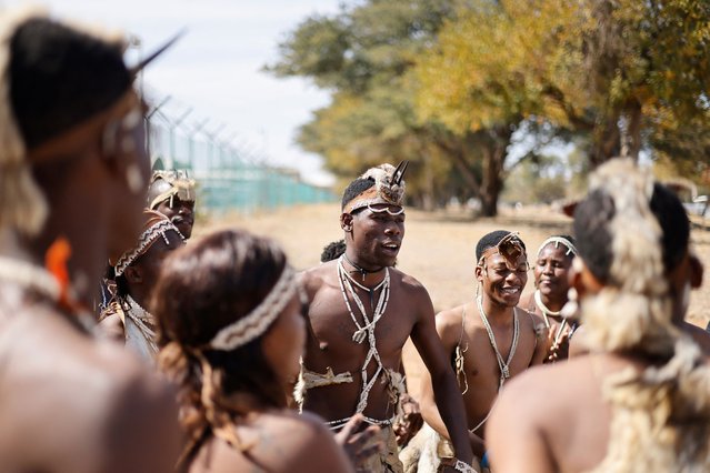 Traditional dancers perform at the beginning of a welcoming ceremony for Botswana's Gold medallist Letsile Tebogo, winner of the men's 200m athletics event during the Paris 2024 Olympic Games, at the Sir Seretse Khama International Airport in Gaborone on August 13, 2024. President Mokgweetsi Masisi declared Tuesday afternoon a holiday as Botswana geared up to welcome home sprinter Letsile Tebogo and his 200m gold medal, a first for the southern African country. Botswana's Olympic team was due to return on Tuesday with Tebogo's gold as well as silver in the men's 4x400m relay, boosting the country's total Olympic medal tally to four (Photo by Marco Longari/AFP Photo)