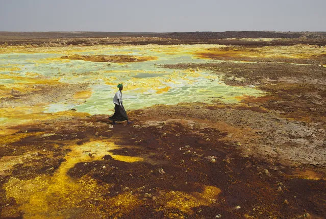 A man walks on sulphur and mineral salt formations near Dallol in the Danakil Depression, northern Ethiopia April 22, 2013. The Danakil Depression in Ethiopia is one of the hottest and harshest environments on earth, with an average annual temperature of 94 degrees Fahrenheit (34.4 Celsius). For centuries, merchants have travelled there with caravans of camels to collect salt from the surface of the vast desert basin. The mineral is extracted and shaped into slabs, then loaded onto the animals before being transported back across the desert so that it can be sold around the country. (Photo by Siegfried Modola/Reuters)