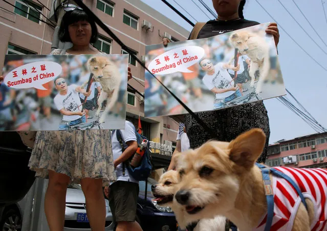 Animal activists hold banners against Yulin Dog Meat Festival as they carry rescued stray dogs in front of Yulin City Representative office in Beijing, China, June 10, 2016. (Photo by Kim Kyung-Hoon/Reuters)