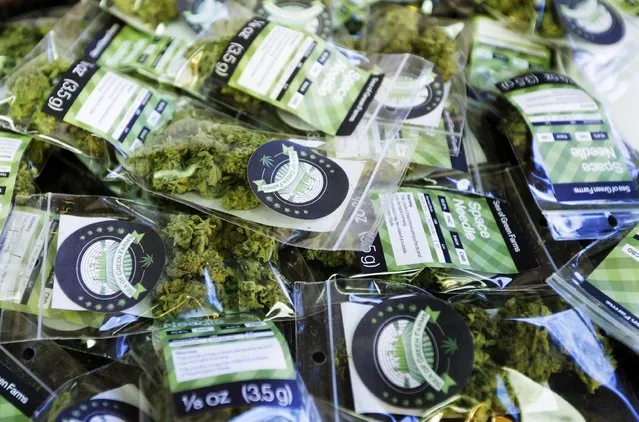 In this photo taken Tuesday, July 1, 2014, packets of a variety of recreational marijuana named “Space Needle” are shown during packaging operations at Sea of Green Farms in Seattle. The grower, the first business licensed to grow recreational marijuana in Washington state, worked all weekend to have supplies ready for stores that were expected to be granted sale licenses on Monday, July 7, the day before legal recreational pot sales begin on July 8. (Photo by Ted S. Warren/AP Photo)