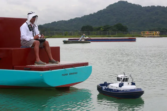 A Panama Canal pilot maneuvers a miniature tugboat as he sits on a scale cargo boat during a training day at the scale model maneuvering training facility of the Panama Canal, a day before the inauguration of the Panama Canal Expansion project on the outskirts of Panama City, in Panama June 25, 2016. (Photo by Alberto Solis/Reuters)