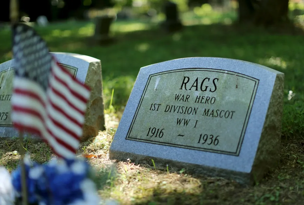 Aspin Hill Memorial Park