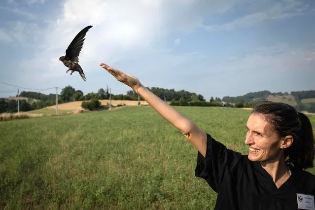 A volunteer releases a swift suffering from the heatwave into its natural environment after it has been treated at the “L'Hirondelle” (Swallow) wildlife care center in Saint-Forgeux, on July 20, 2022. The care center, which is one of the largest in France, takes in nearly 7,000 distressed wild birds and mammals each year for treatment before they are released back into the wild. (Photo by Jean-Philippe Ksiazek/AFP Photo)