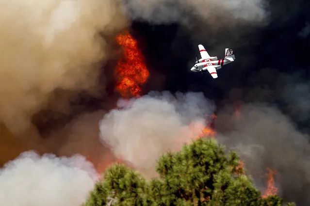 An air tanker flies past flames while battling the Oak Fire in Mariposa County, Calif., Sunday, July 24, 2022. (Photo by Noah Berger/AP Photo)