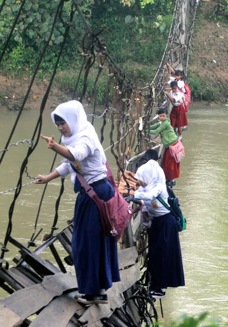 In this photograph taken on January 19, 2012, Indonesian schoolchildren hold on to iron cables as they cross a nearly-collapsed suspension bridge at Sanghiang Tanjung village in Indonesia's Banten province to reach their school. (Photo by Kris Aria/AFP Photo)