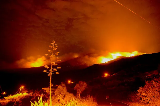Picture made available on 07 August 2016 of the raging blaze at Villa de Mazoin La Palma island at the Canary Islands, Spain, 06 August 2016. The Spanish Civil Guard detained a 27-year-old German national on 03 August 2016, accused of causing the fire. A firefighter died while working to extinguish the fire. Causes of the death remain uncertain. (Photo by Miguel Calero/EPA)