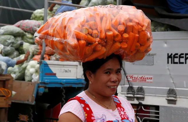 A worker carries a bag of peeled carrots on her head outside a vegetable market in La Trinidad, Benguet in northern Philippines August 6, 2016. (Photo by Erik De Castro/Reuters)