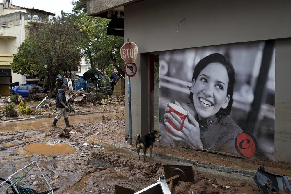 The Day in Photos – November 17, 2017