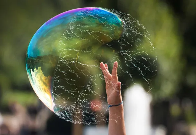A boy bursts a soap-bubble at Gorky Park in Moscow on July 19, 2017. (Photo by Mladen Antonov/AFP Photo)