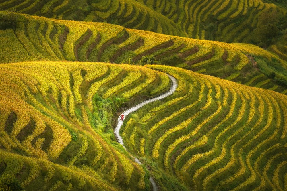 A Look at Life in China