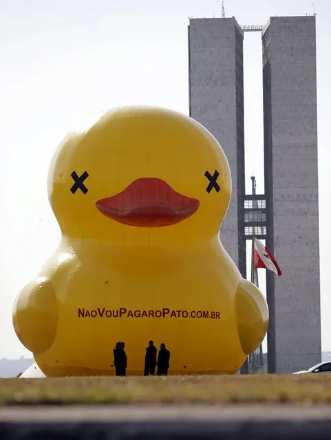 A giant inflatable doll in the shape of duck is seen in front of the National Congress during a protest against tax increases in Brasilia, Brazil, October 1, 2015. The campaign "I will not pay the Duck" is organized by the Federation of Industries of Sao Paulo (FIESP) and uses the duck symbol in reference to industries that pay high taxes. (Photo by Ueslei Marcelino/Reuters)