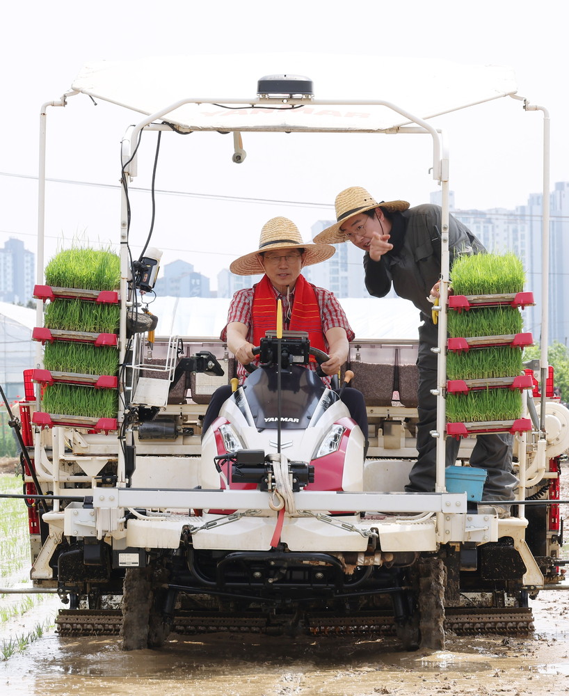 A Look at Life in South Korea