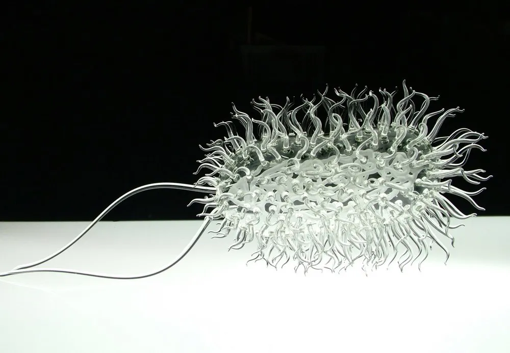 Luke Jerram’s Glass Microbiology Sculptures
