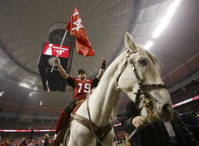 Calgary Stampeders' quarterback Bo Levi Mitchell sits on a horse after his team defeated the Hamilton Tiger Cats in the CFL's 102nd Grey Cup football championship in Vancouver, British Columbia, November 30, 2014. (Photo by Ben Nelms/Reuters)