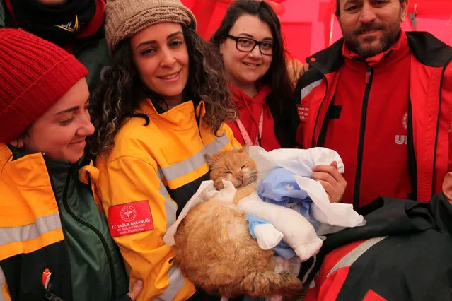 Turkish rescue workers pose with a cat named “Mucize” (Miracle), after they saved it alive from rubbles, in the aftermath of a deadly earthquake in Islahiye, in Gaziantep province, Turkey on February 11, 2023. (Photo by Kenan Gurbuz/Reuters)