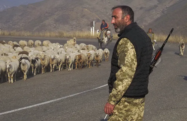 An ethnic Armenian soldier looks at flock of sheep driven away from the front line outside Berdzor, the separatist region of Nagorno-Karabakh, Sunday, November 1, 2020. Fighting over the separatist territory of Nagorno-Karabakh entered sixth week on Sunday, with Armenian and Azerbaijani forces blaming each other for new attacks. (Photo by AP Photo/Stringer)