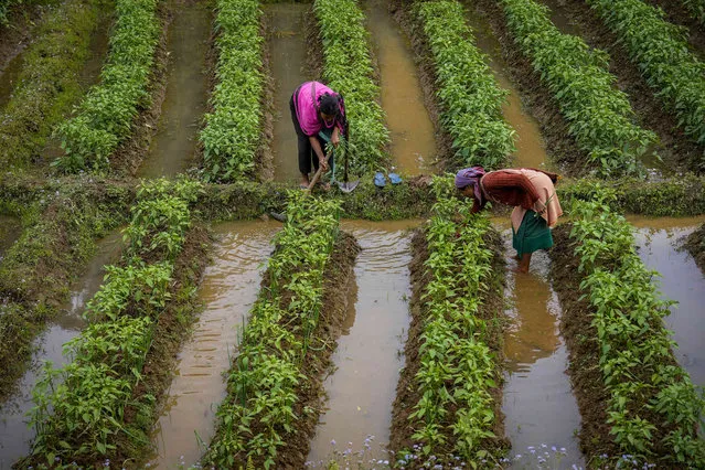 Tribal women engage in agriculture activity on the outskirts of Guwahati, northeastern Assam state, India, Monday, March 20, 2023. (Photo by Anupam Nath/AP Photo)