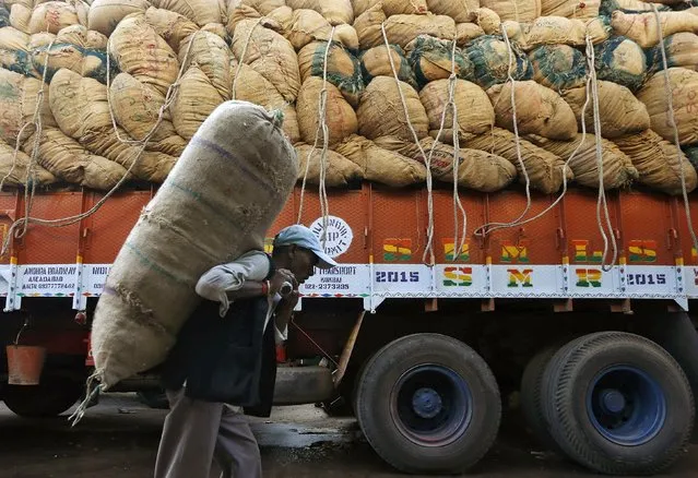 A labourer carries a sack filled with dried red chillies after unloading it from a supply truck at a wholesale market in Ahmedabad, India, November 16, 2015. India's wholesale prices dropped for a 12th straight month in October, falling an annual 3.81 percent mainly due to easing fuel prices, government data showed on Monday. (Photo by Amit Dave/Reuters)