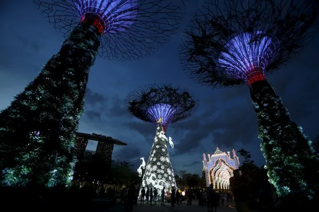 People visit Christmas festivities amongst Supertrees structures at the Gardens by the Bay in Singapore, December 14, 2015. (Photo by Edgar Su/Reuters)